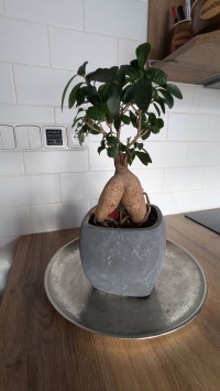 Apartmán692 - Vrchlabí